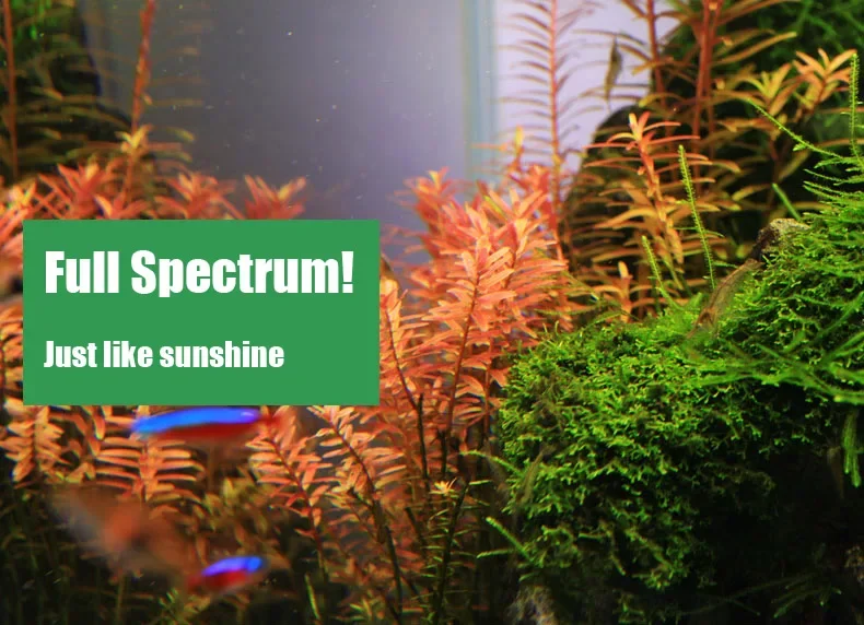 Chihiros C Series ADA Style Plant Grow LED Light Mini Nano Clip Aquarium Water Plant  FishTank - Image 3