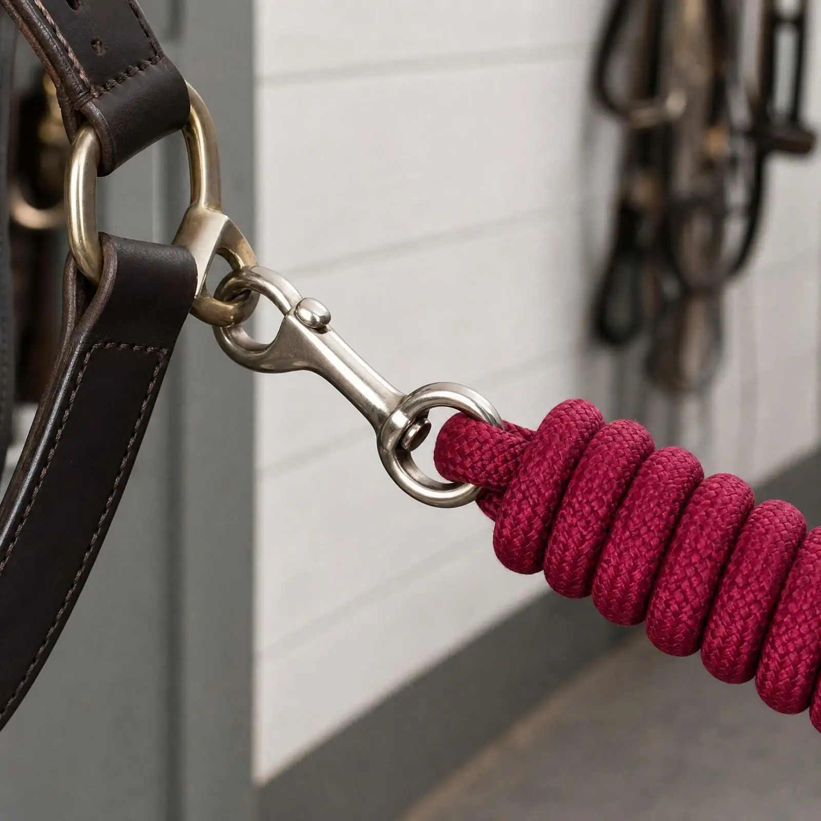 25m-braided-horse-lunge-line-rope-textured-round-woven-guide-rope-sturdy-round-braided-horse-lunge-line-for-equestrians