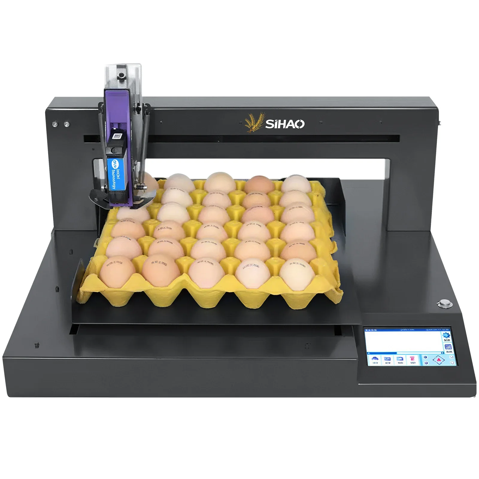 

Single Head Screen Model Auto Egg Inkjet Printer for Label Expiry Date Stamp Inkjet Logo Barcode Printing Coding Machine on Eggs