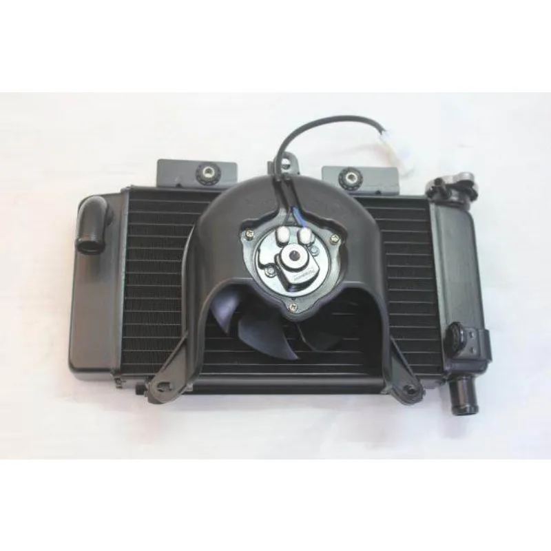 250NK 300NK Water Tank Assembly for CFMOTO 250NK 300NK 2022-2024 Motorcycle Parts Original Water Tank Fan Radiator Assembly