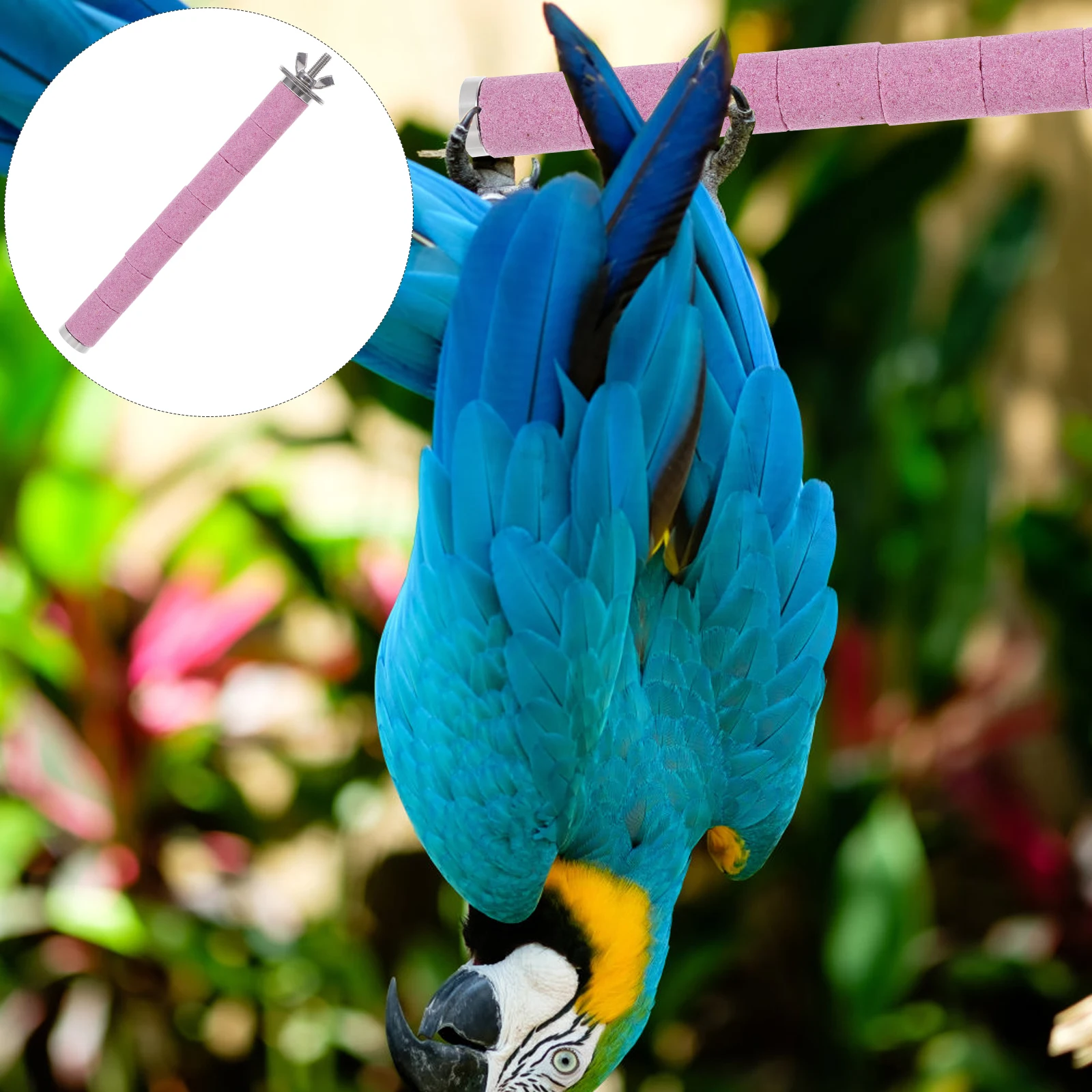 

Sturdy Perch For Parrot Bite-Resistant Claw Grinding Stick Cage Mount Biting Play Durable Birdcage Rod Parakeet Perch Bird