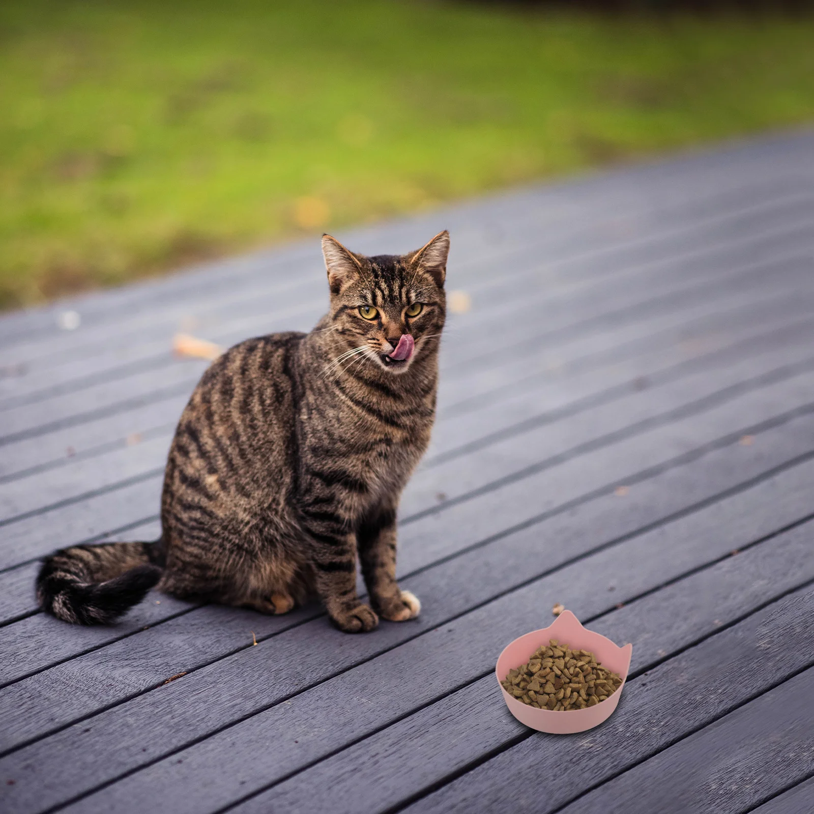 

2pcs Cat Bowl Cat Ear Design Slow Feeder Non-Slip Shallow Pet Feeding Plate For Kitten Indoor Use Candy Colors