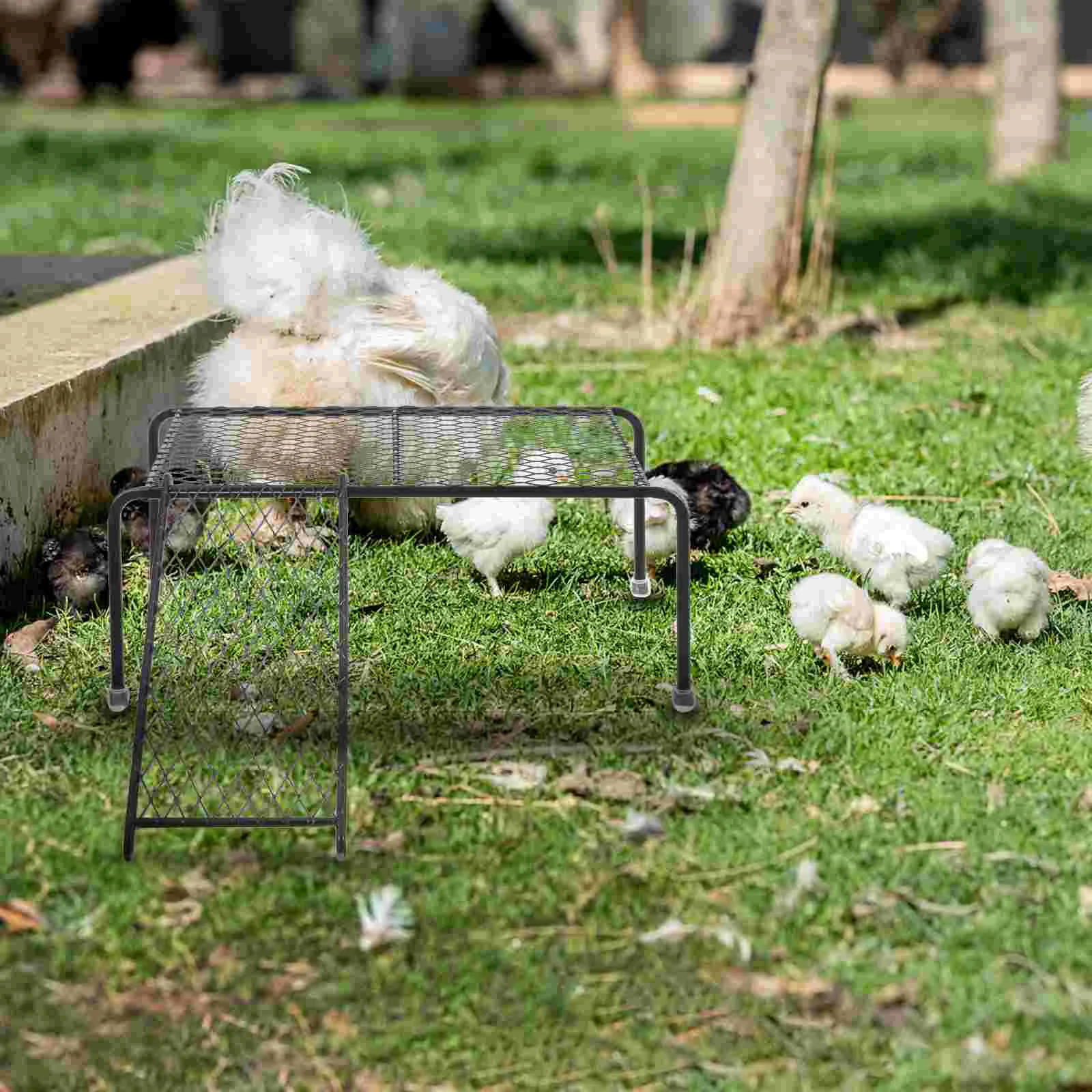 

1 White Large Chicken Coop Platform Rack Ladder Pet Feeding Watering Safe Hollow Metal Bracket Strong Stable
