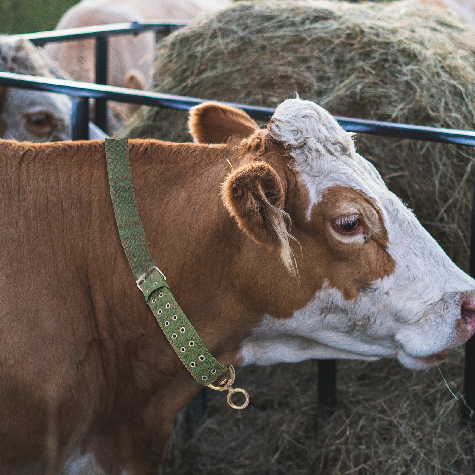 

Explosion-Proof Cow Collar Green Thickened Durable Canvas Cattle Feeding Supply Livestock Traction Rope Adjustable Hauling Cable