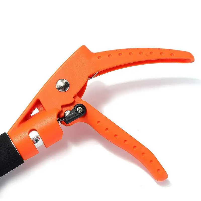 Imagem -04 - Tree Trimmer Pole Short Reach Branch Cutter Cortar e Segurar Tesouras de Poda para Jardim Fruit Picking Ramos Aparar