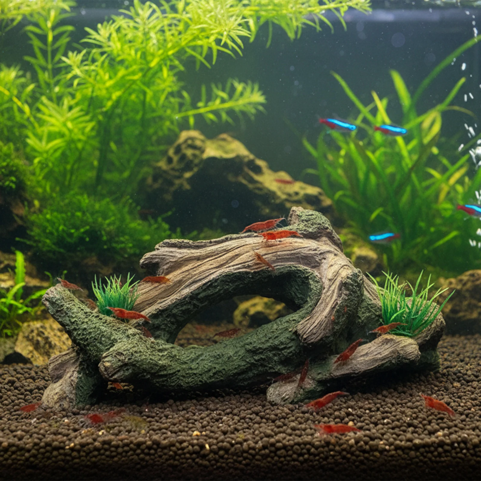 Aquarium Driftwoods Decor Tree - Aquarium Plant Design ulasan dan harga