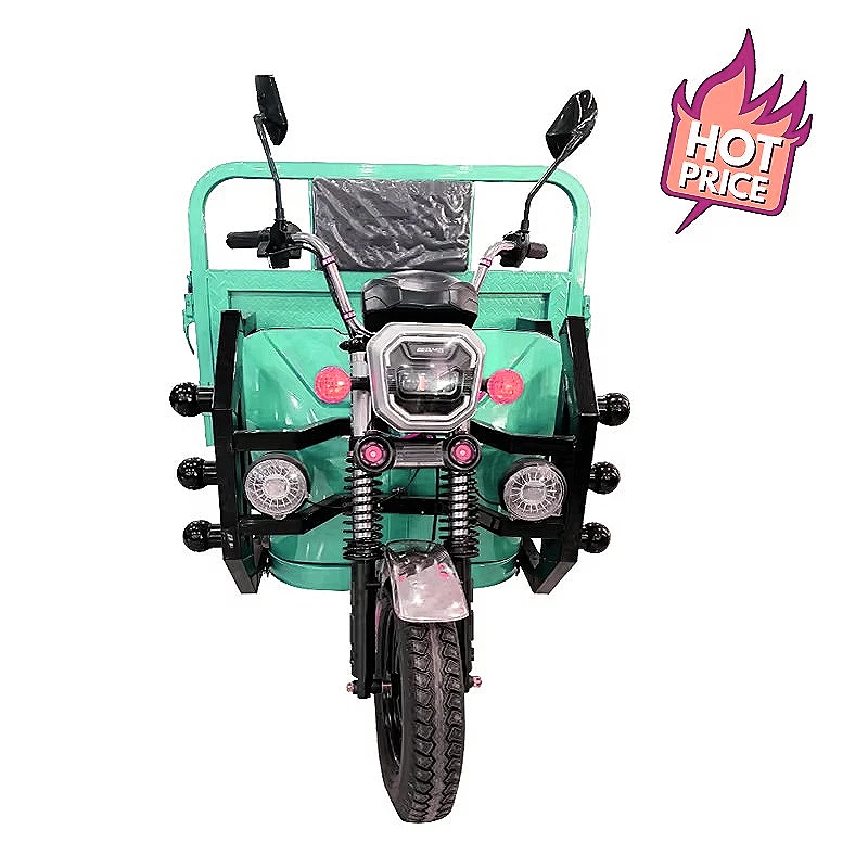 Courier Electric Cargo Trike 60V 1500W 300kg Box For Package Delivery Express Logistics Urban Freight Service Customized