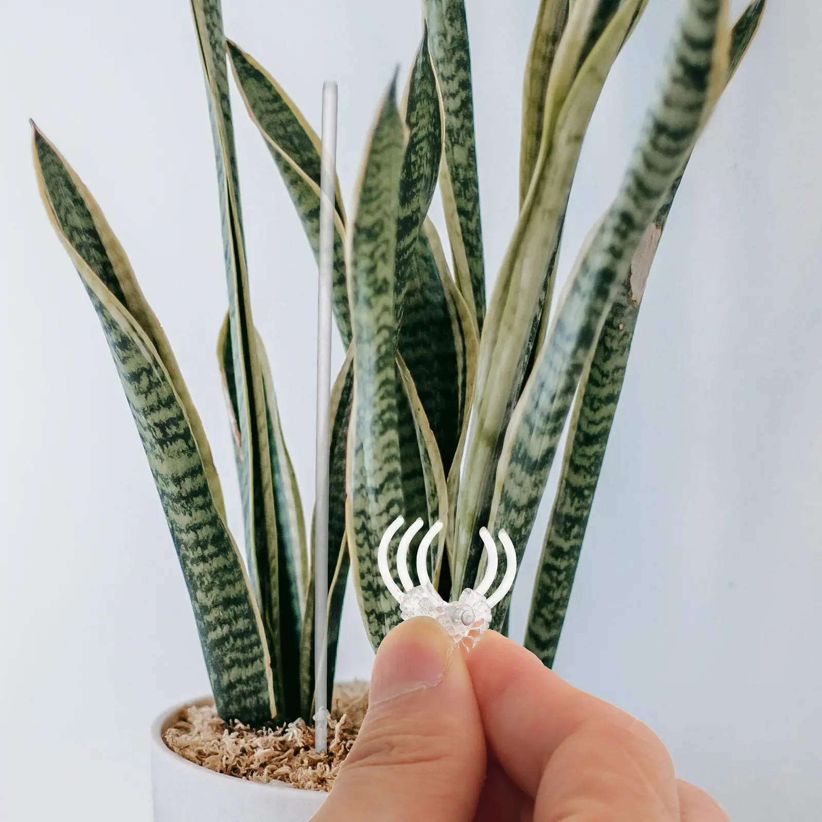 1Set Transparent Acrylic Plant Support Stakes Orchid Clips for Roses Clematis Easy Soil Insert Garden Plant Supports