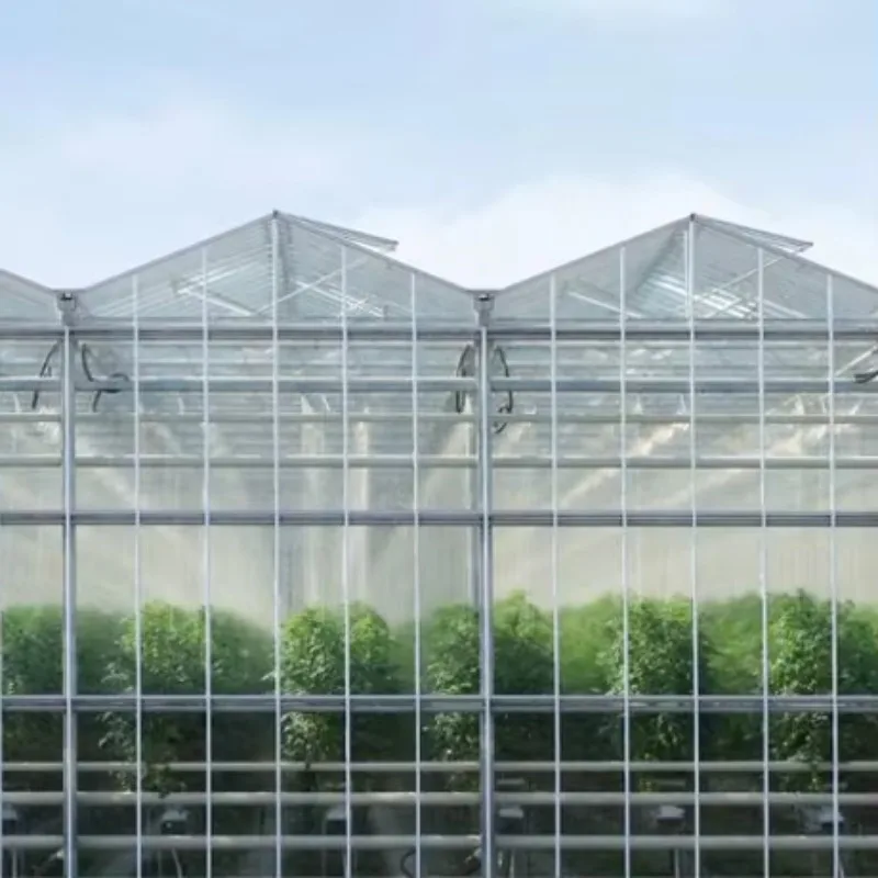 

Smart Glass Greenhouse and Agricultural Vegetable Greenhouse