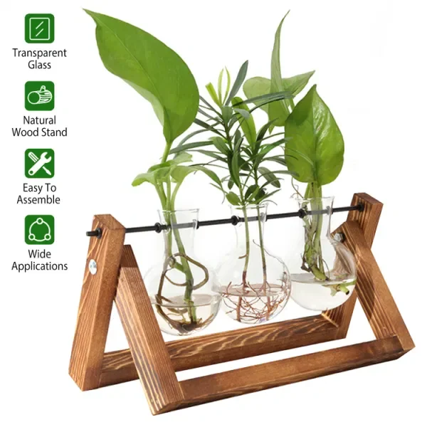 

mothers day gifts-Desktop Glass Planter Bulb Plant Terrarium with Wooden Stand