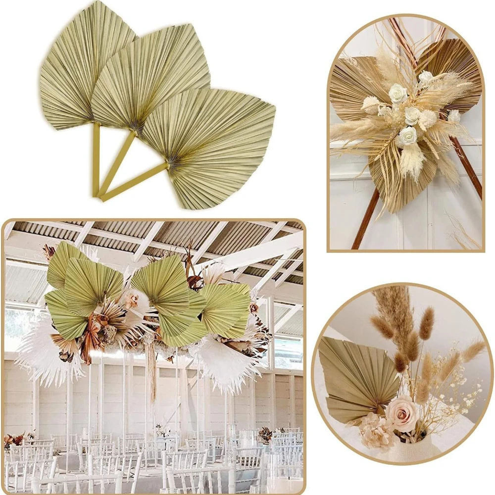 3 قطع من أوراق النخيل الطبيعية - مراجعة Palm Leaf Dried وسعره