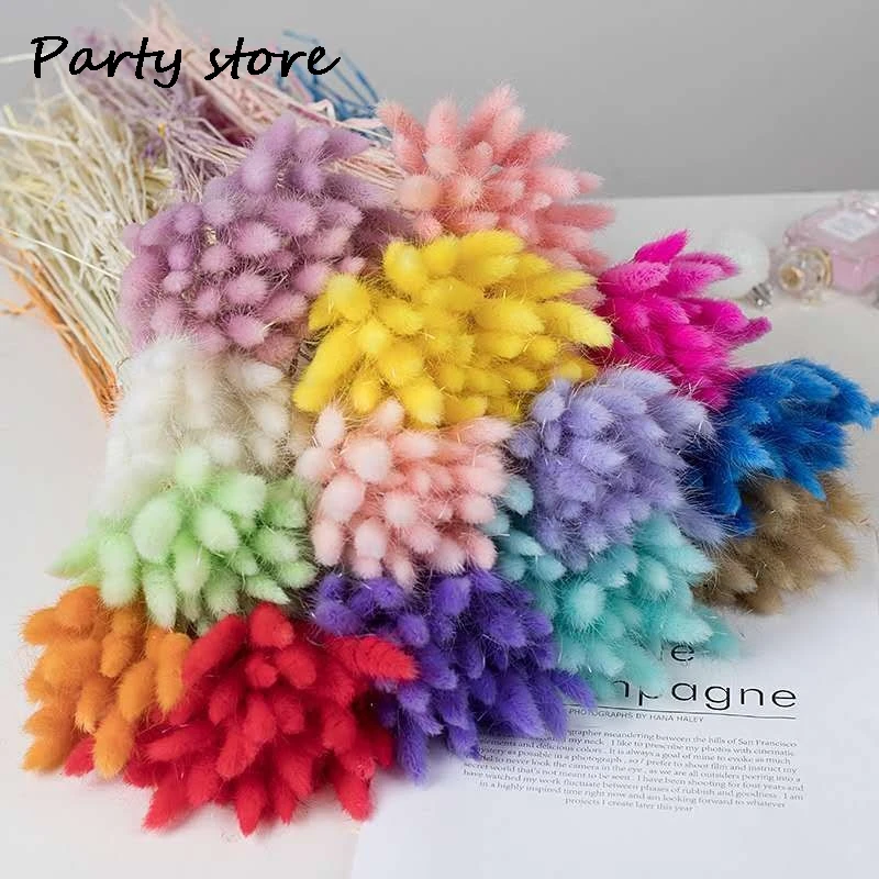 

50pcs Nature Bunny Rabbit Tail Grass Dried Flower Bouquet Wedding Party Decor Fluffy Pampas Christmas Diy Floral Arrangement