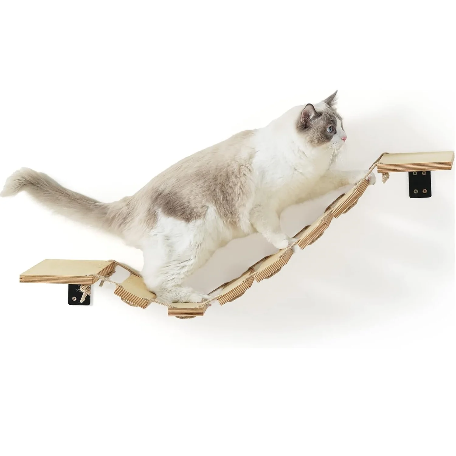 Wandliegeplatz für Katzen, Wandregal für Katzen, Katzenliege, Katzenbaum, Wandmöbel zum Schlafen, Spielen, Klettern und Entspannen, Primärfarbe