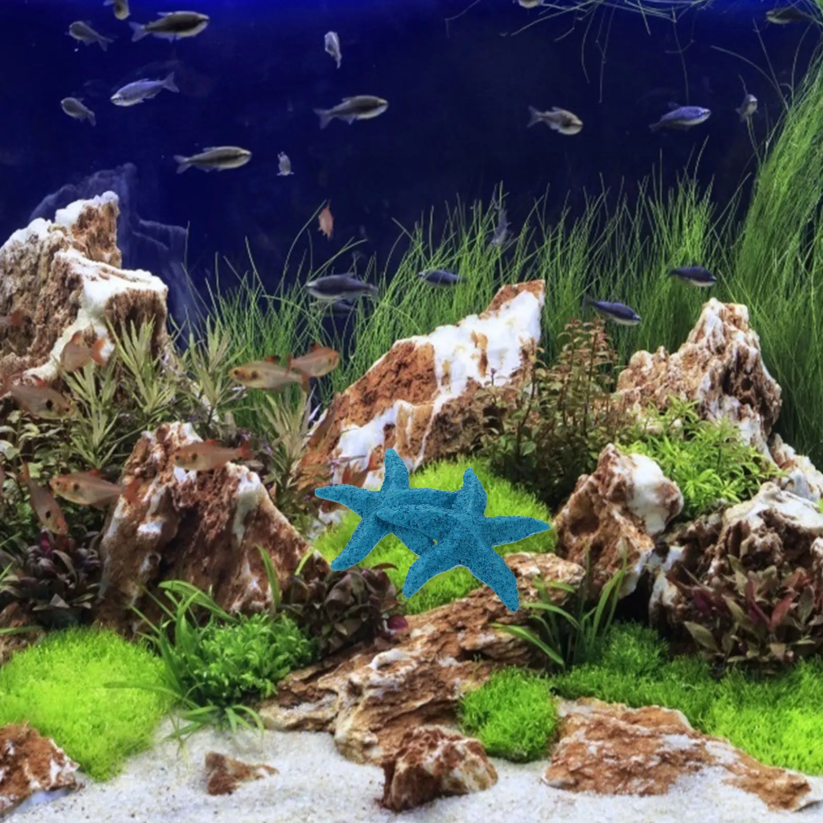 2Pcs Vivid Realistic Resin Marine Animals Fish Tank Ornament Aquarium Decor Sea Star Statue Decorative Landscaping Accessory