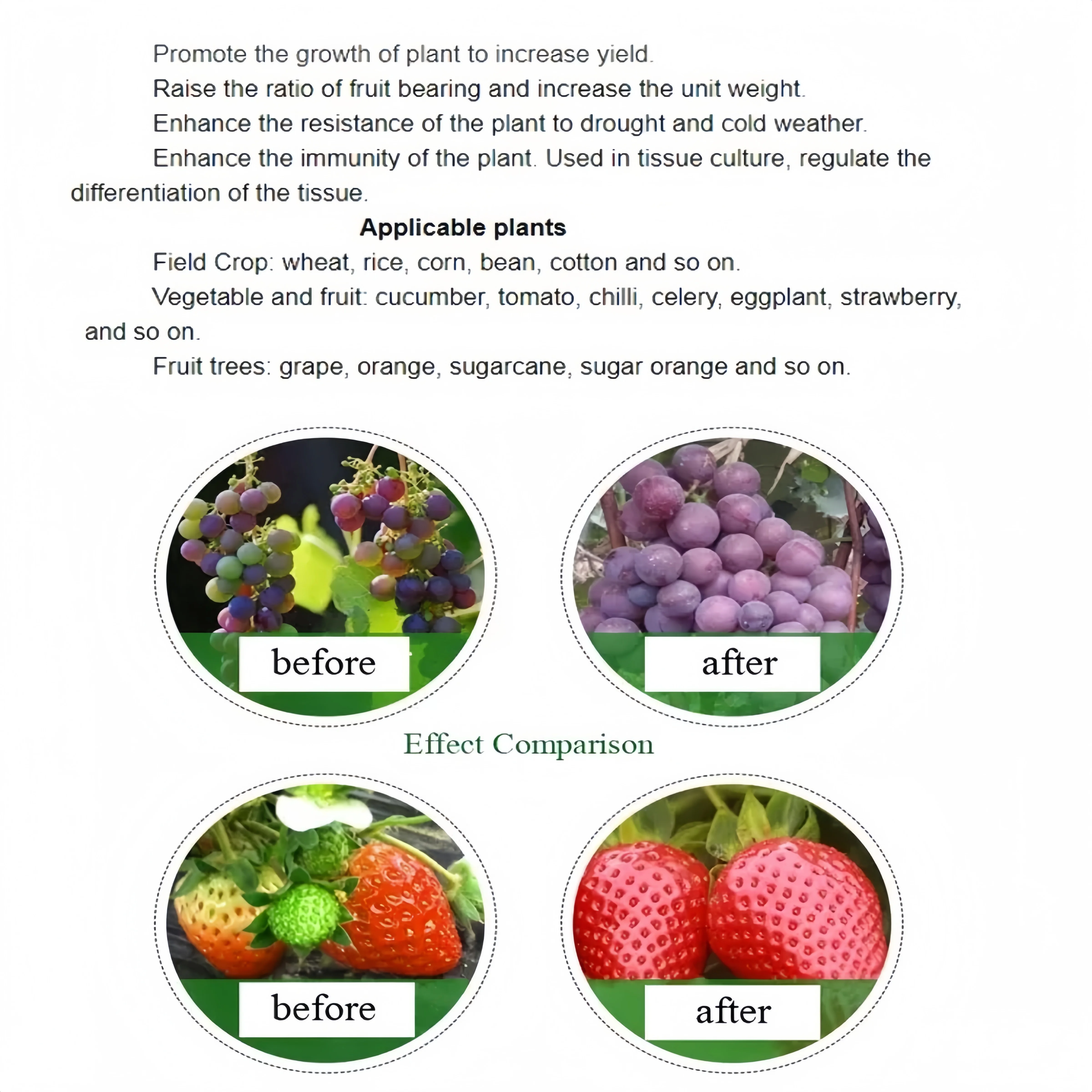 Natural Plant Hormone S-ABA ABA Abscisic Acid 10%SP Promote Germination Bud Sprouting and Coloring for Grape