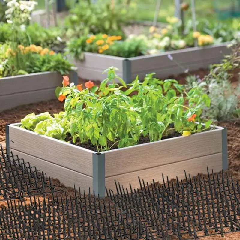 קיסמי חתולים פנימיים לחפירת חתולים עציצים לעצירת קיסמי חתולים 10 יחידות מזרנים לחתולים קטנים חיות מחמד בחוץ