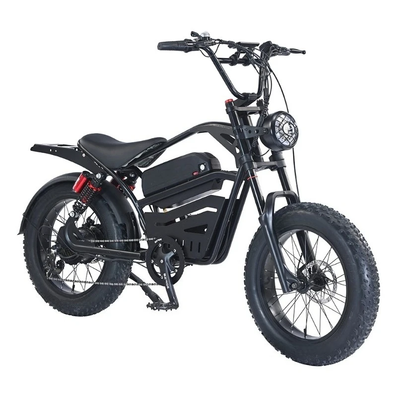 BR Electric Dirt Bike Mountain Bicycle E Fat Bike 2000w Ebike 48V 20 Ah Off Road Hybrid 20 Inch Fat Tires Headlights Turn Signal