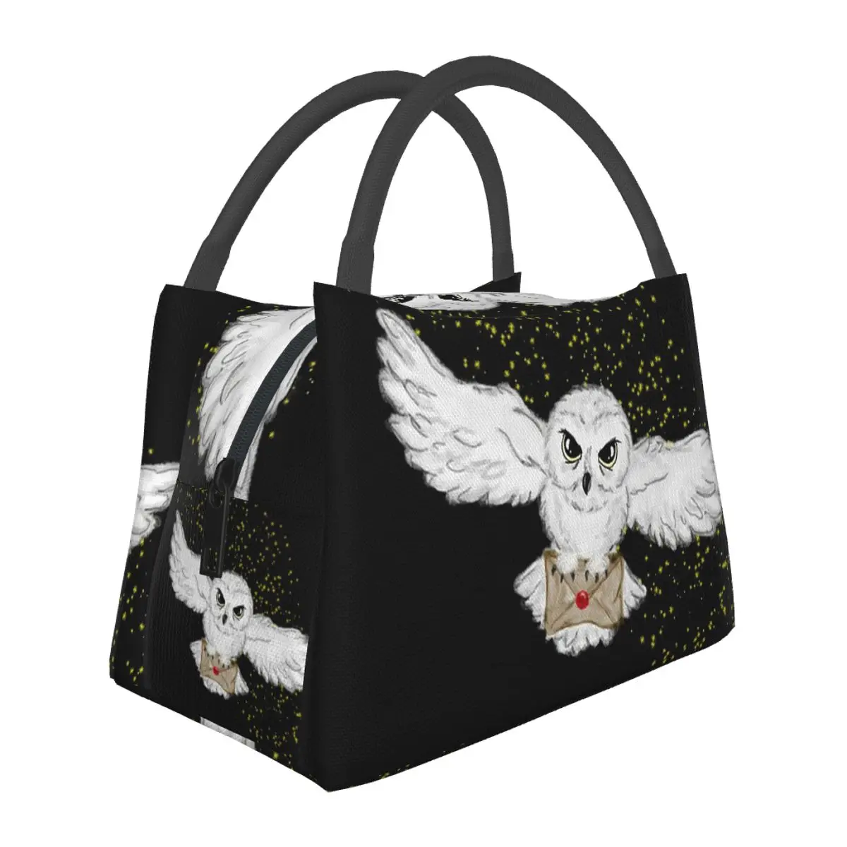 Owl Flight Throw Blanket Lunch Bags Insulated Bento Box Portable Lunch Tote Picnic Bags Cooler Thermal Bag for Woman Kids Office