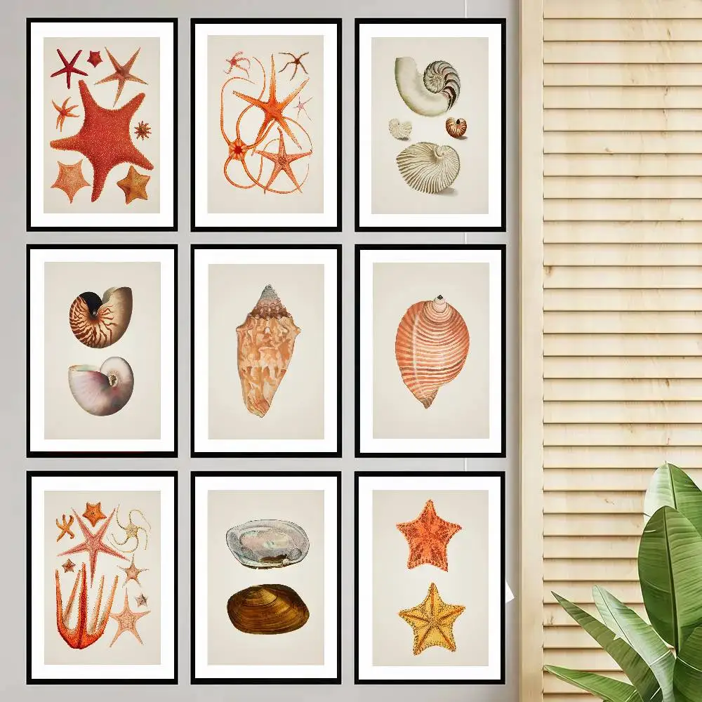 Wonderful Marine Life Starfish Conch And Lobster Poster Self-adhesive Art Room Entrance Restaurant Wall Decor Art Painting