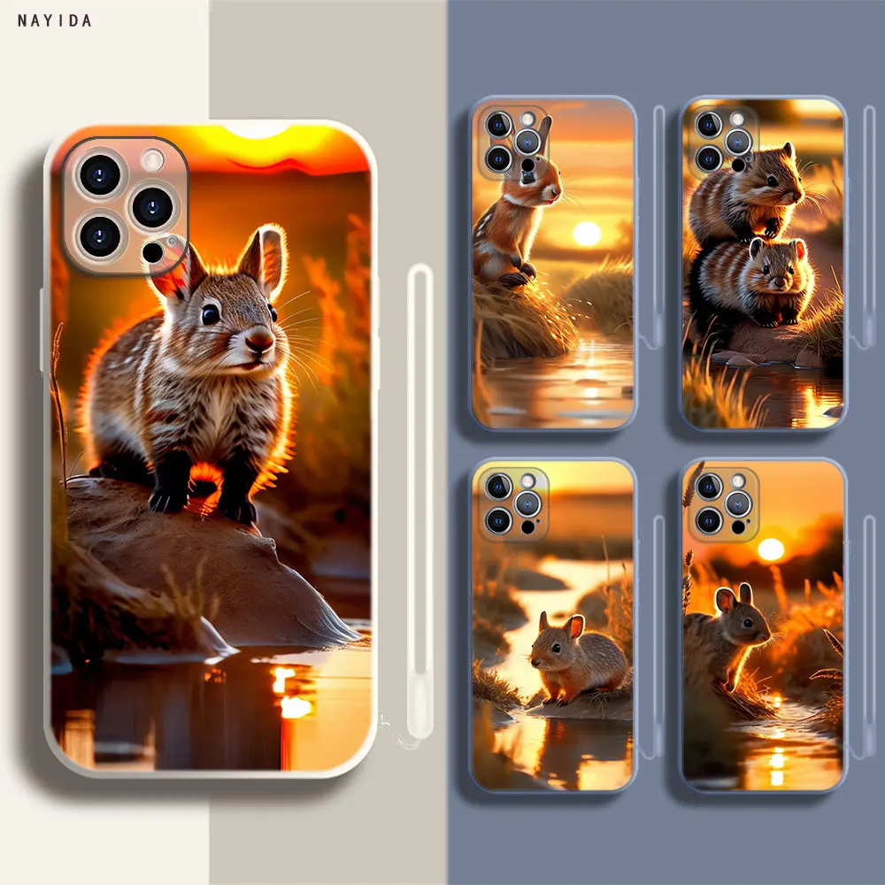 Soft Silicone Phone Case For Apple iPhone 15 14 13 12 11 Pro X XS Max XR Plus Mini Cover The Mouse Under the Sunset