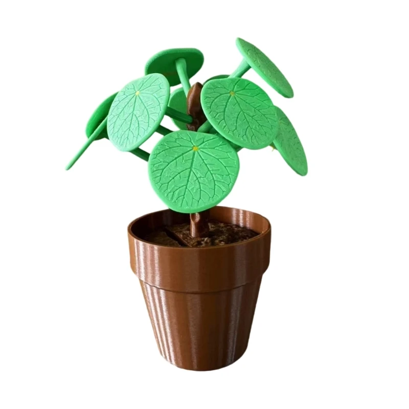 Creative Picks Dinner Decider ที่ถอดออกได้ใบและที่มองไม่เห็น Money Dining ประสบการณ์ของขวัญสำหรับนักชิม 15UB