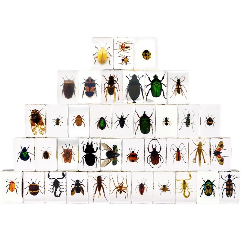 

30pc random A gift for a child.Real insect specimens, transparent resin, creative small ornaments, personalized decorations.