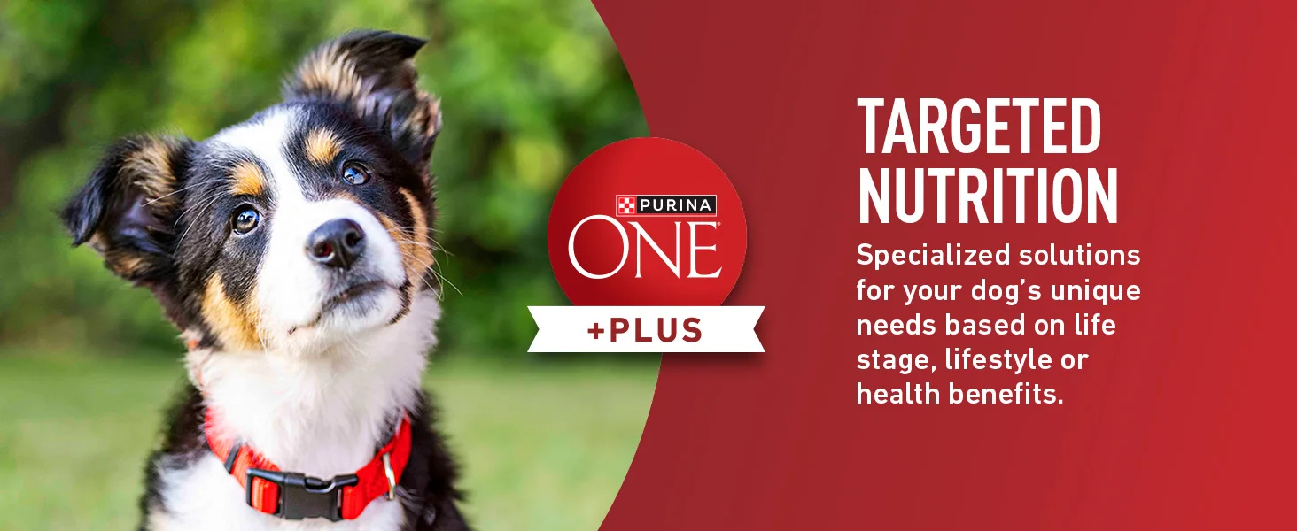 Photo talking about the targeted nutrition of Purina ONE dry dog food