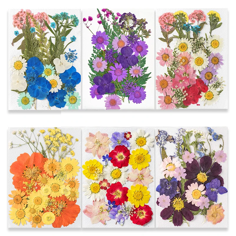 Household Pressed Flower Kit Diy Material Pressed Flower Pack Real Flower Plant Specimen Teaching Bookmark Dried Flower Material