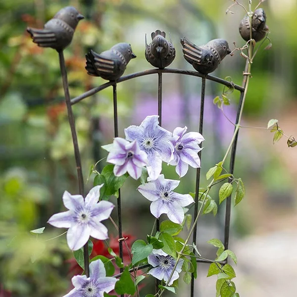 Versatile Iron Garden Trellis and Fence – Perfect for Climbing Plants