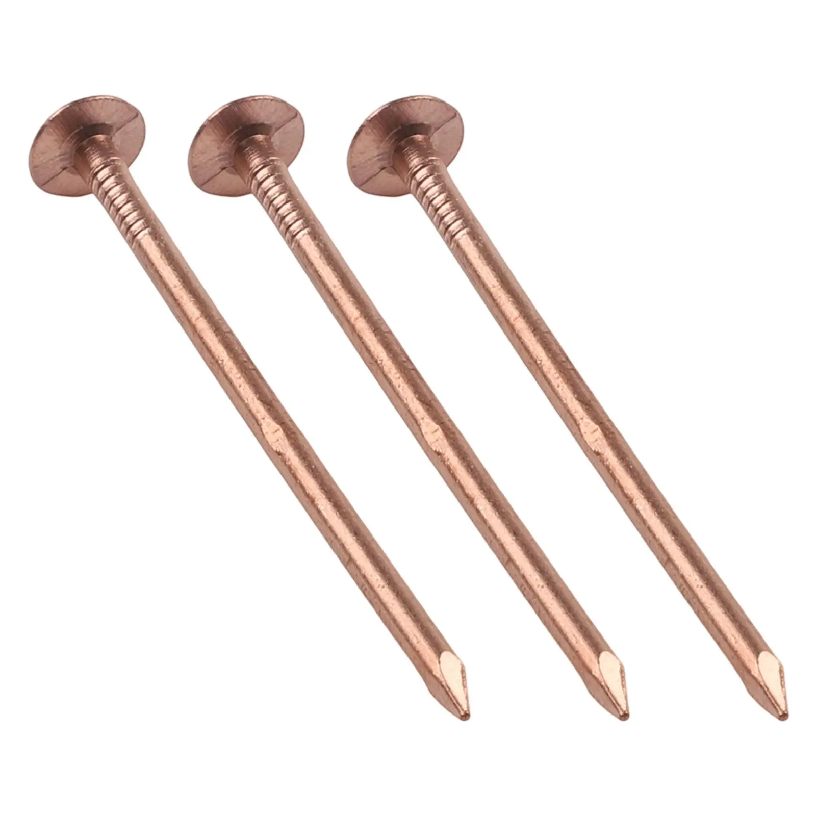65MM Copper Stump Killer Nails for Effective Root Damage Non Invasive Method for Removing Unwanted Trees and Stumps