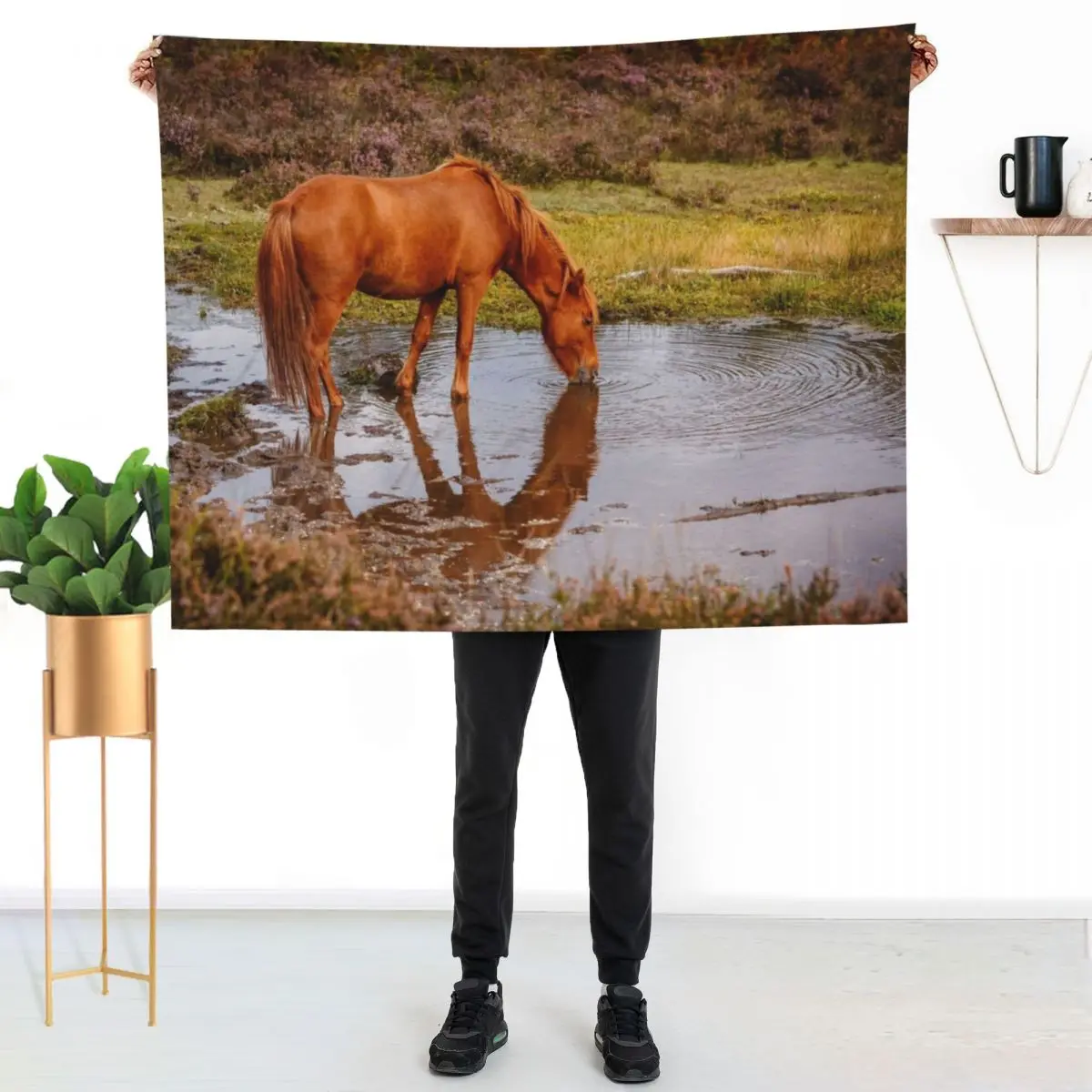 New Forest pony at waterhole with reflection Throw Blanket For Sofa Thin valentine gift ideas Sleeping Bag Baby Tourist Blankets
