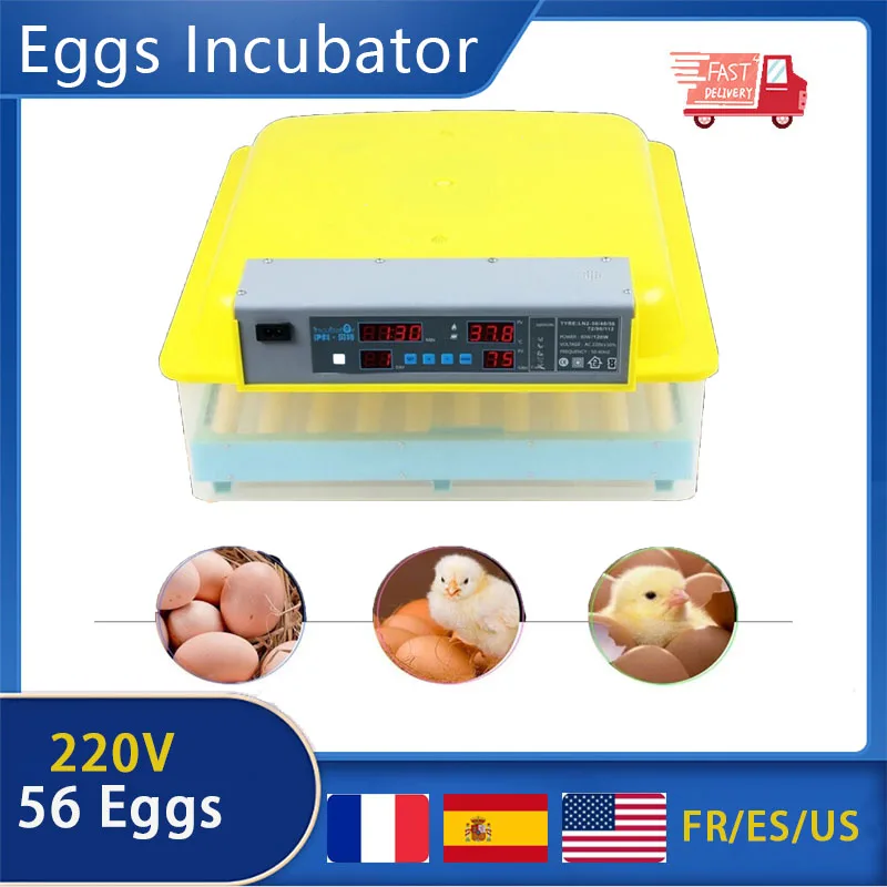 Automatic Farm Hatchery Tool, 56 Eggs Incubator, Brooder, Bird, Quail, Chick Incubator, Poultry Incubator, Turner, 220V