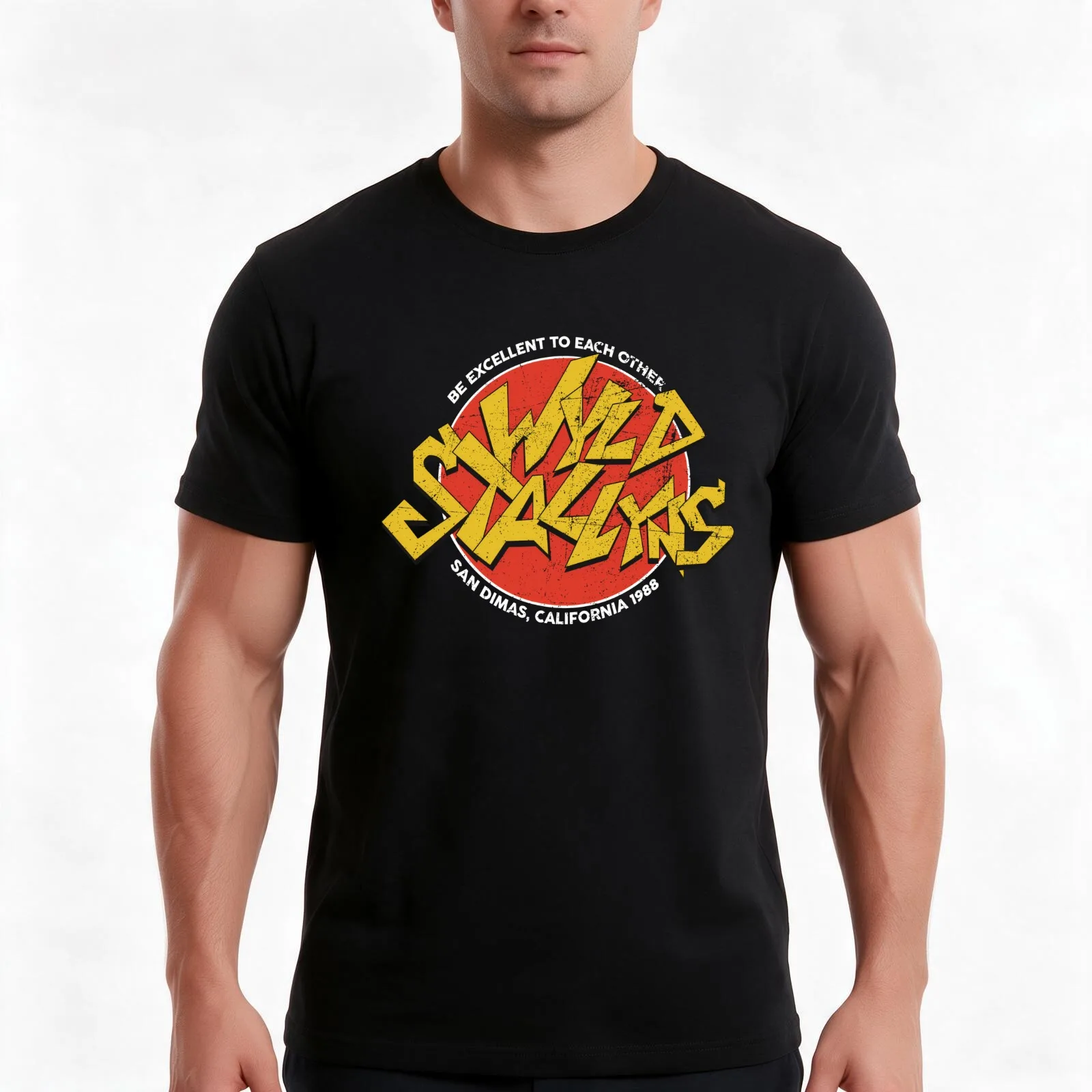 Bill Ted Wild Stallyns Band Patch 70 T-Shirt, Summer Casual Cotton Tee, Oversized Streetwear Tops, Vintage Graphic Print