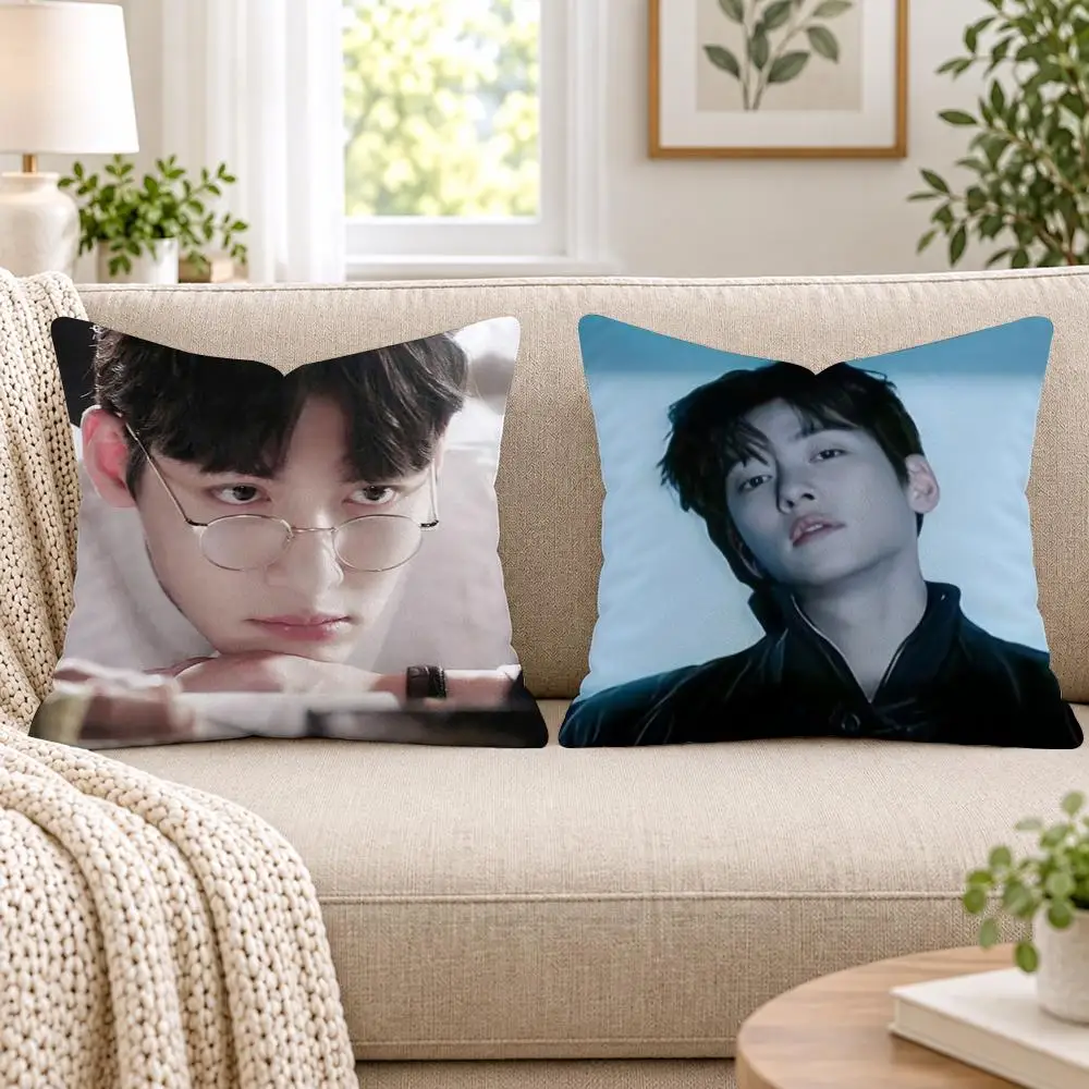 J-Ji C-Chang Wook Cushion Cover Short Plush Double-Sided Printing Sofa Bedroom Pillow Case Aesthetic Home Decor