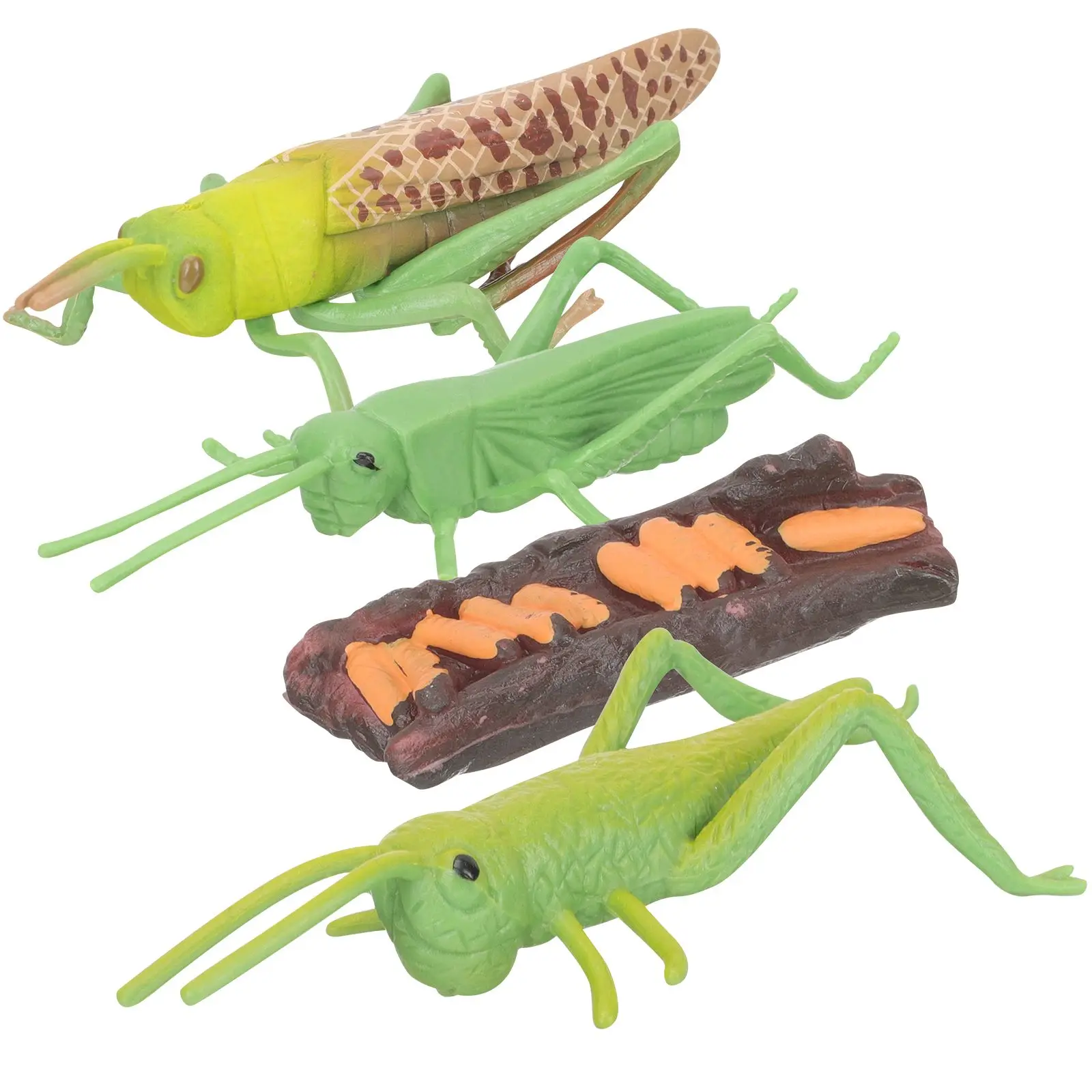 

Growth Cycle Animal Life Model Science Educational Props Toy Simulated Kids Toys Animals Cognitive Figure