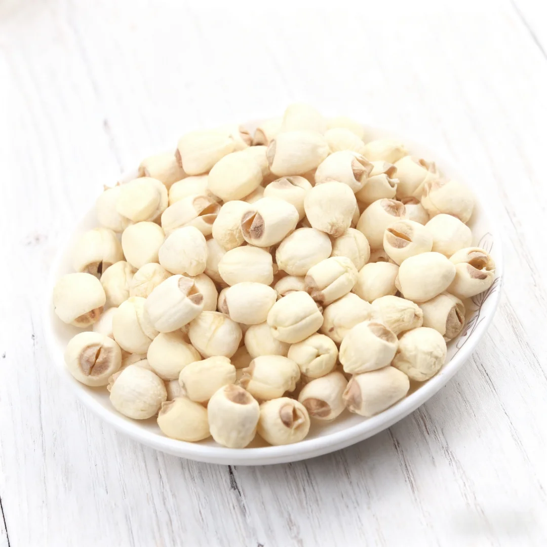 Snacks Food Video - Modèle de soupe de Lotus de