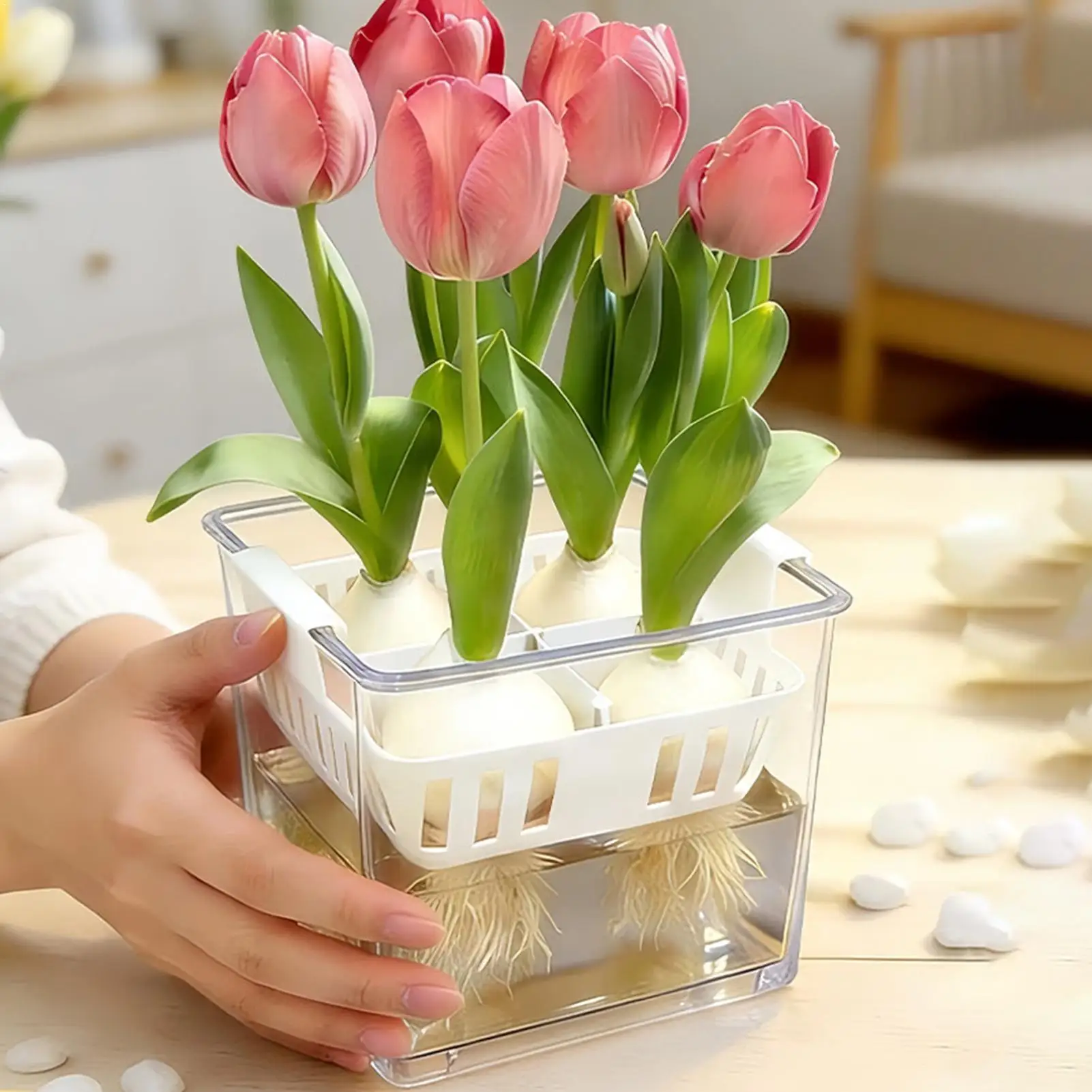 Hydroponic Planter 4-Grid Clear Double-Layer Flower Containers Grow Pots Propagated Plant Holders For Indoor Living Room Bedroom