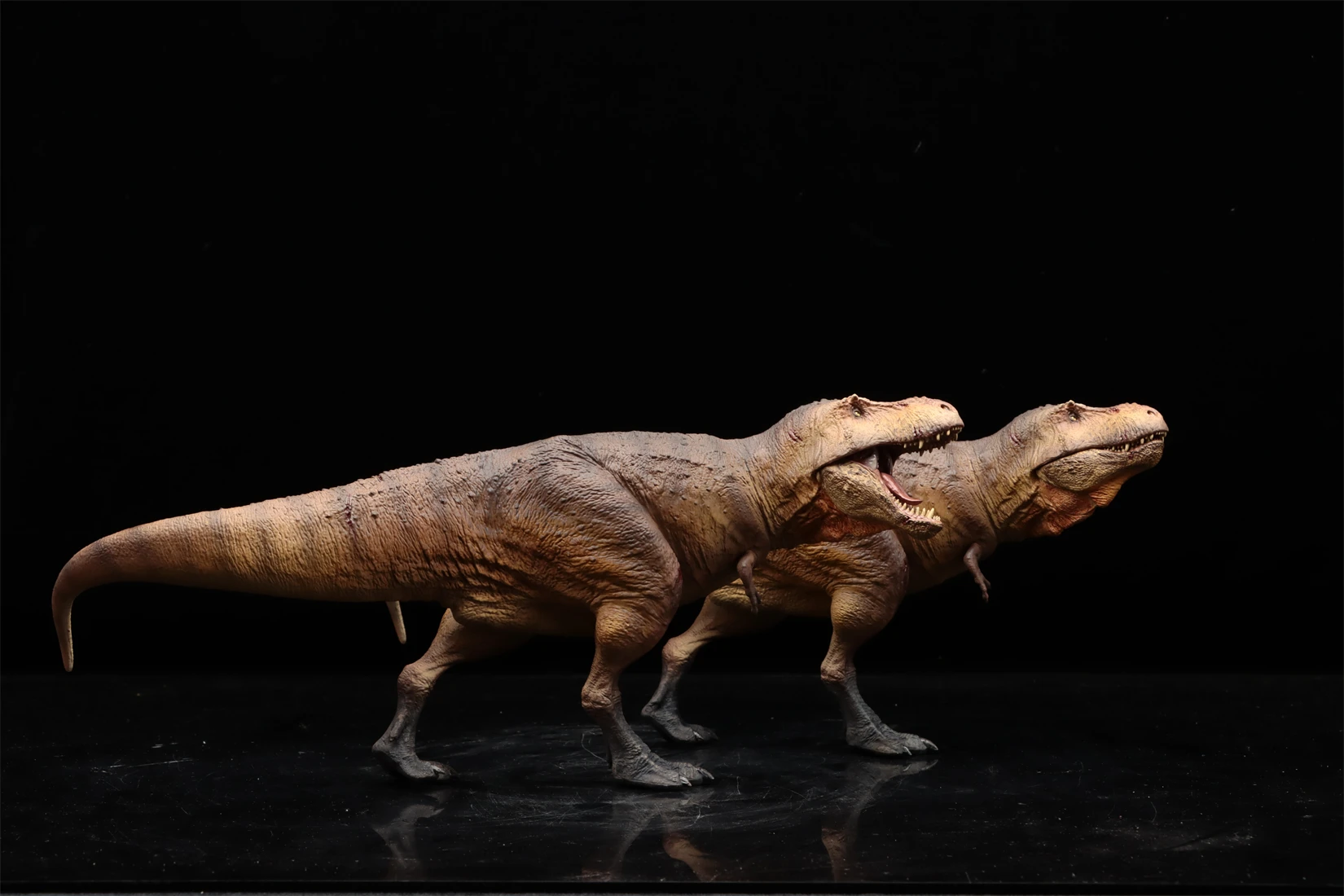 SHOWANNA Studio 1:35 Scale Tyrannosaurus Rex Scotty Model History Museum Series Dinosaur Animal Collection Scene GK Decoration