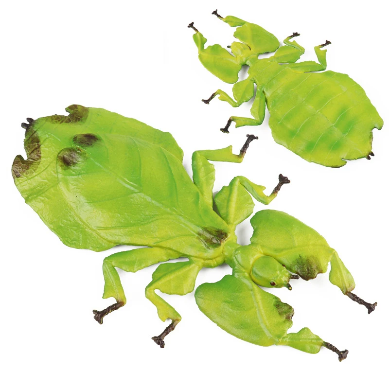 HOT SALE Simulated Mantis Children's Science Education Wild Insect Model  Giant Leaf Insect Compulsion Toys  Bonsai Decorative