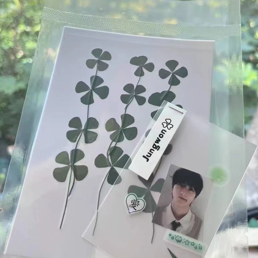 5pcs Fashion Lucky Four-Leaf Clover Sticker Cards - Fresh Simple Acrylic DIY Phone Case Decoration Decals Bookmark Gifts