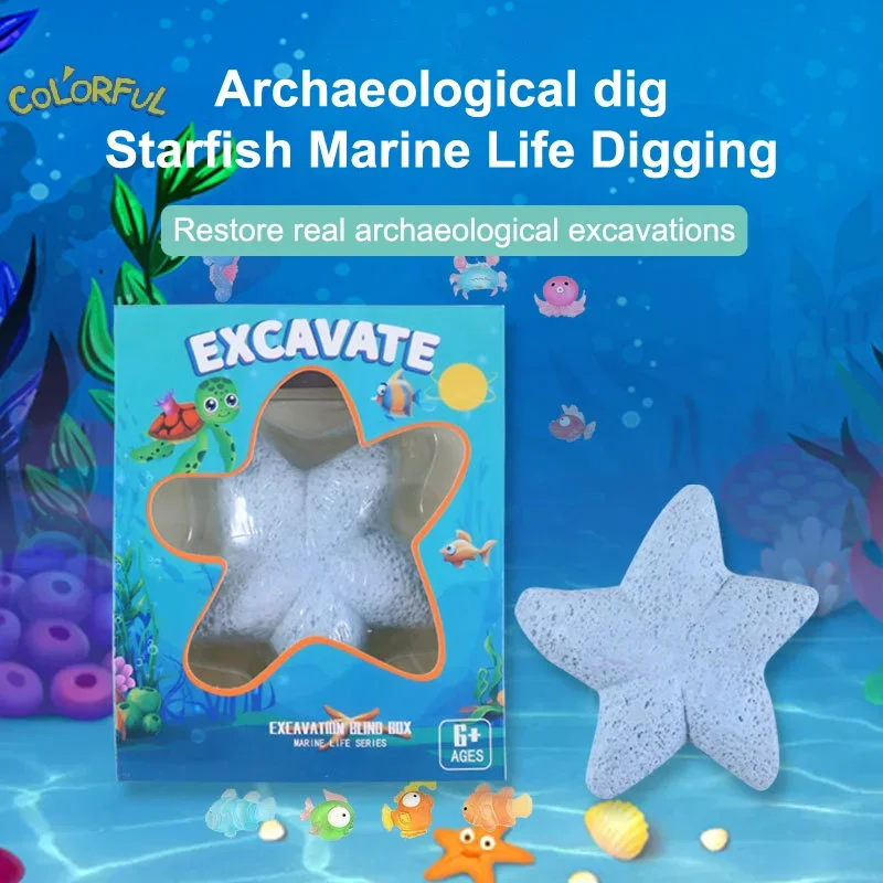 Handgemaakt speelgoed voor jongen meisje geschenken zeester zeeleven edelsteen graven kit archeologische opgraving speelgoed kinderen wetenschap kit