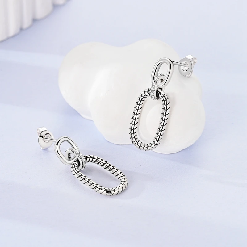 New Classic Earring For Women 925 Silver Sparkling Zircon Serpentine Rectangular Star Cat Double Hoop Earring Engagement Jewelry