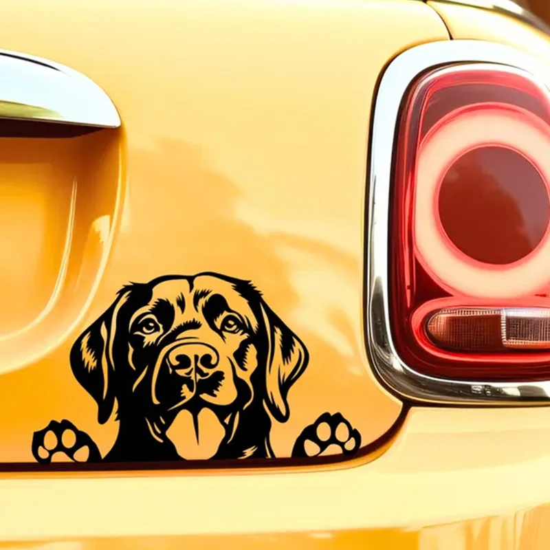 Pegatina de vinilo de PVC impermeable con diseño de perro mirando furtivamente para decoración de parachoques y ventanas, accesorios exteriores, pegatinas de animales interesantes
