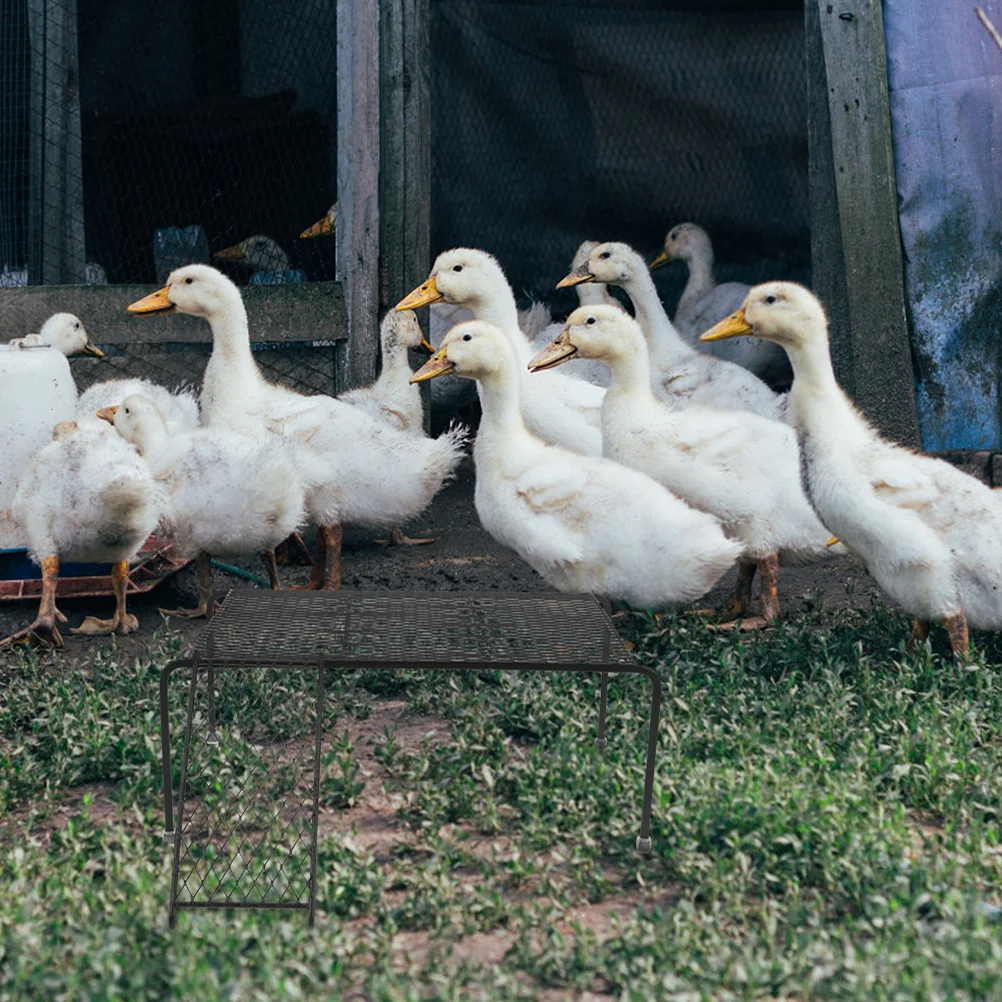 

2Pcs Pet Storage Rack for Chickens Hollow-Out Chicken Coop Platform with Ladder Multi-Functional Iron Mesh Rack for Small