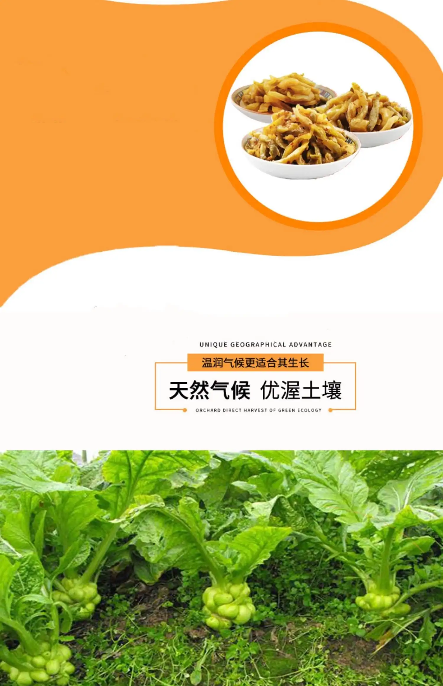 Wujiang Zhacai 산뜻한 맛, 겨자 채소, 6 팩, 80g