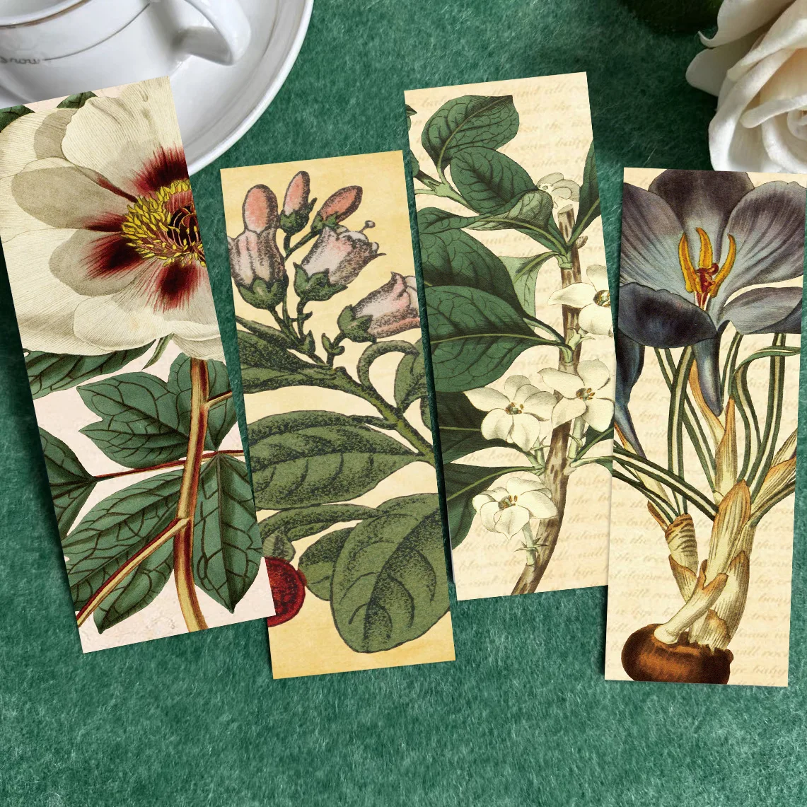 30Pcs/Set Vintage Botanical Bo - Dried Flower Bookmark 评论和价格