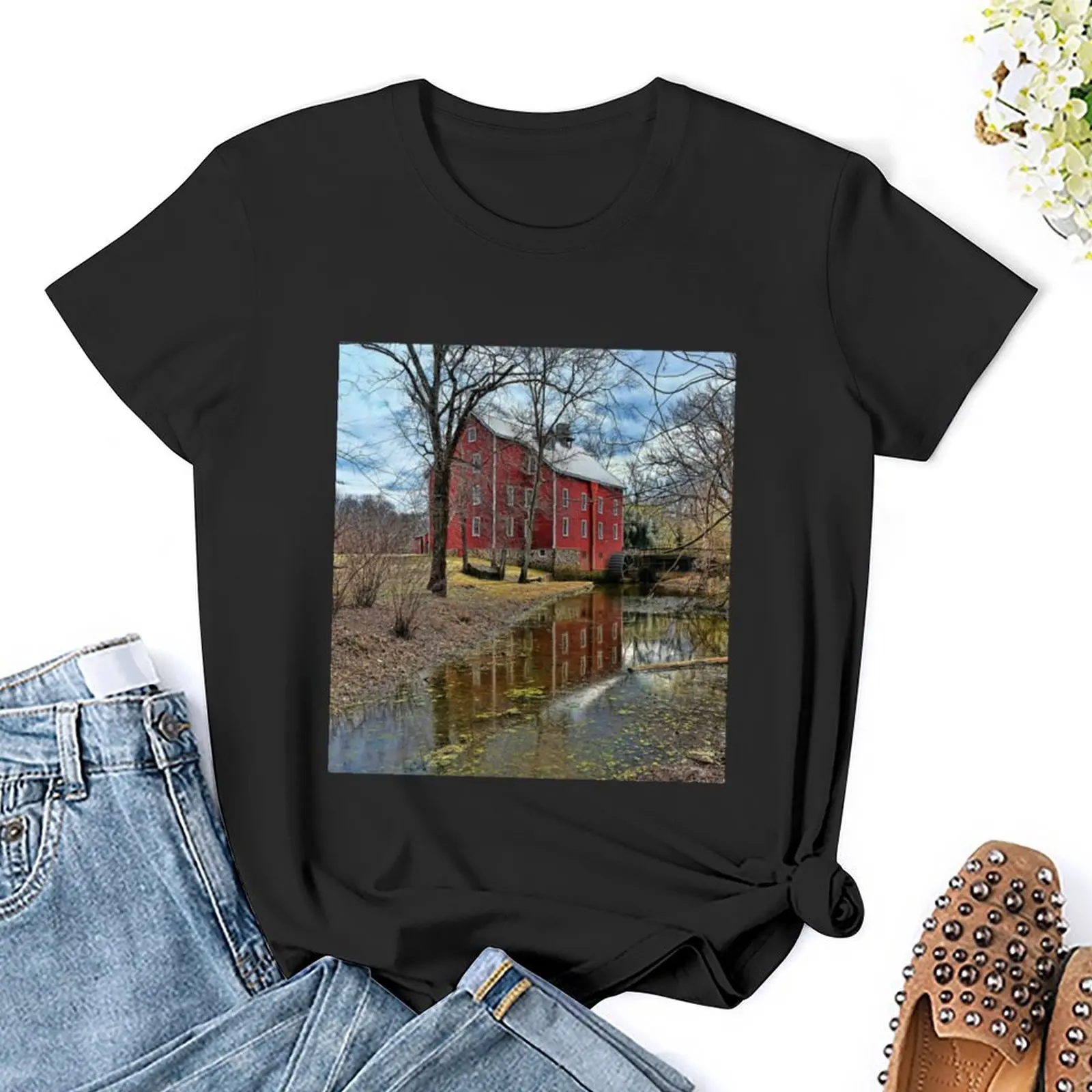 New Jersey Historical Site T-Shirt Aesthetic clothing tops kawaii clothes oversized Top Women