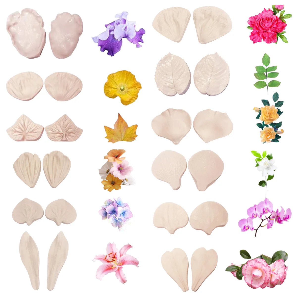 

12 Style of Lily Roses, Hydrangea Phalaenopsis, Silicone Mold, Fondant Soft Pottery Clay Bread Flower Sticky Mould