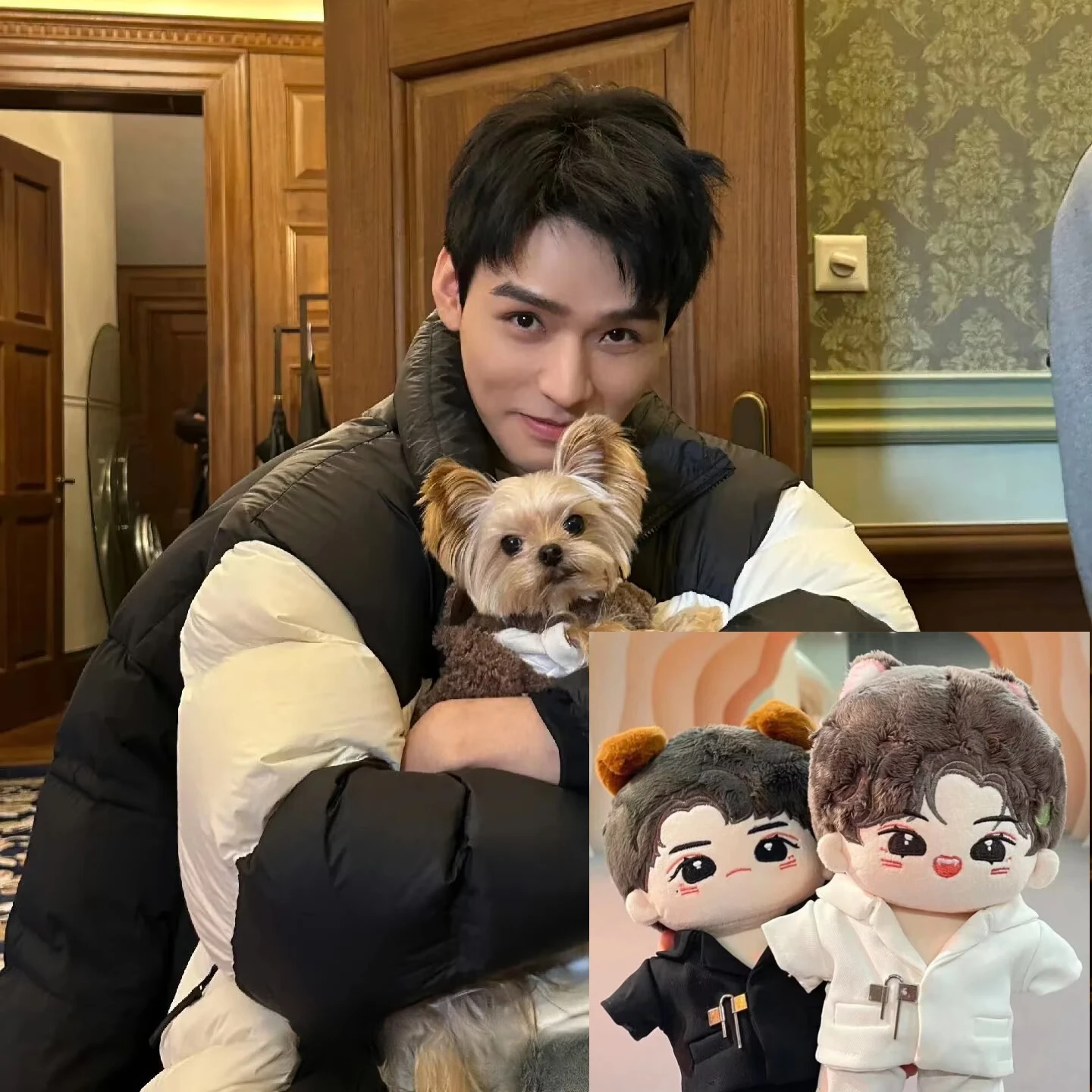 

Gong Jun's attribute: vinegar wrapped, silly wrapped, cotton doll, cute, handsome, high looks