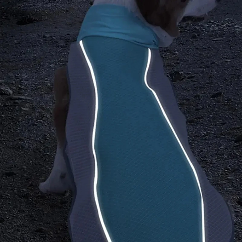 Summer Outdoor Dog Cooling Vest Reflective Strip Quick Cooling Pet Clothes Cool Jacket For Large Dog And Cat
